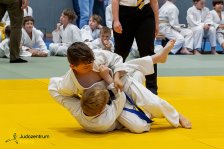 26.04.2026 Wachau JUDO Kids Cup